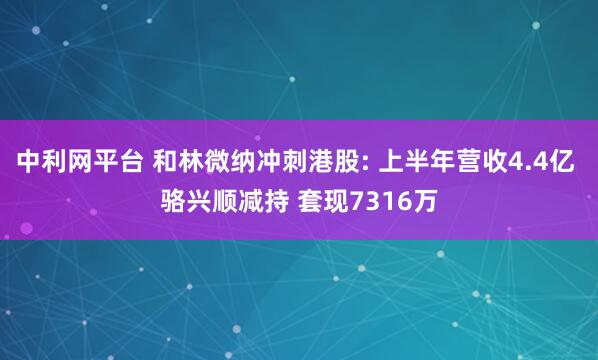 中利网平台 和林微纳冲刺港股: 上半年营收4.4亿 骆兴顺减持 套现7316万