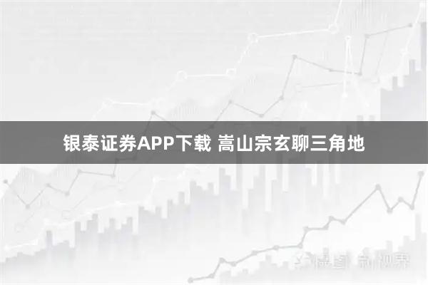 银泰证券APP下载 嵩山宗玄聊三角地