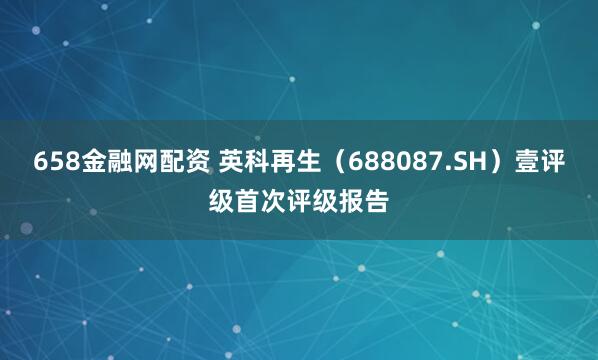 658金融网配资 英科再生（688087.SH）壹评级首次评级报告